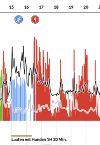 Herzfrequenzdiagramm zeigt Stress- und Erholungsphasen während körperlicher Aktivität, ein möglicher Faktor für den Cortisolbauch durch zu hohe Belastung.